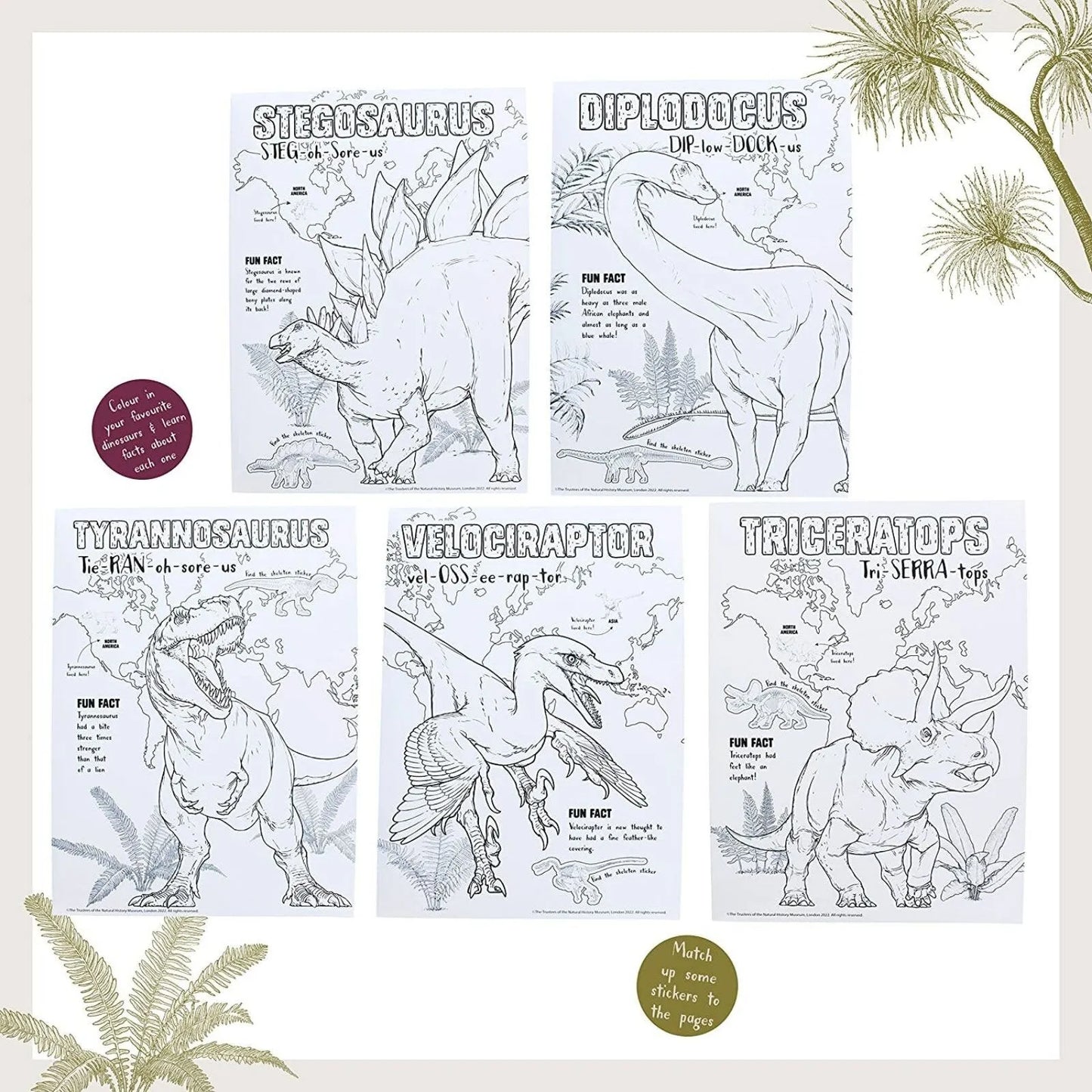 National History Museum Colouring Pad