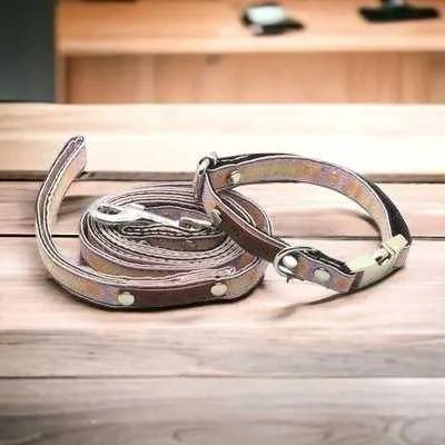Designer Doggo Delight Set: Engraved Buckle Collar - mezetto