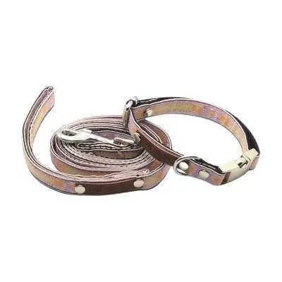 Designer Doggo Delight Set: Engraved Buckle Collar - mezetto