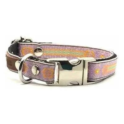 Designer Doggo Delight Set: Engraved Buckle Collar - mezetto