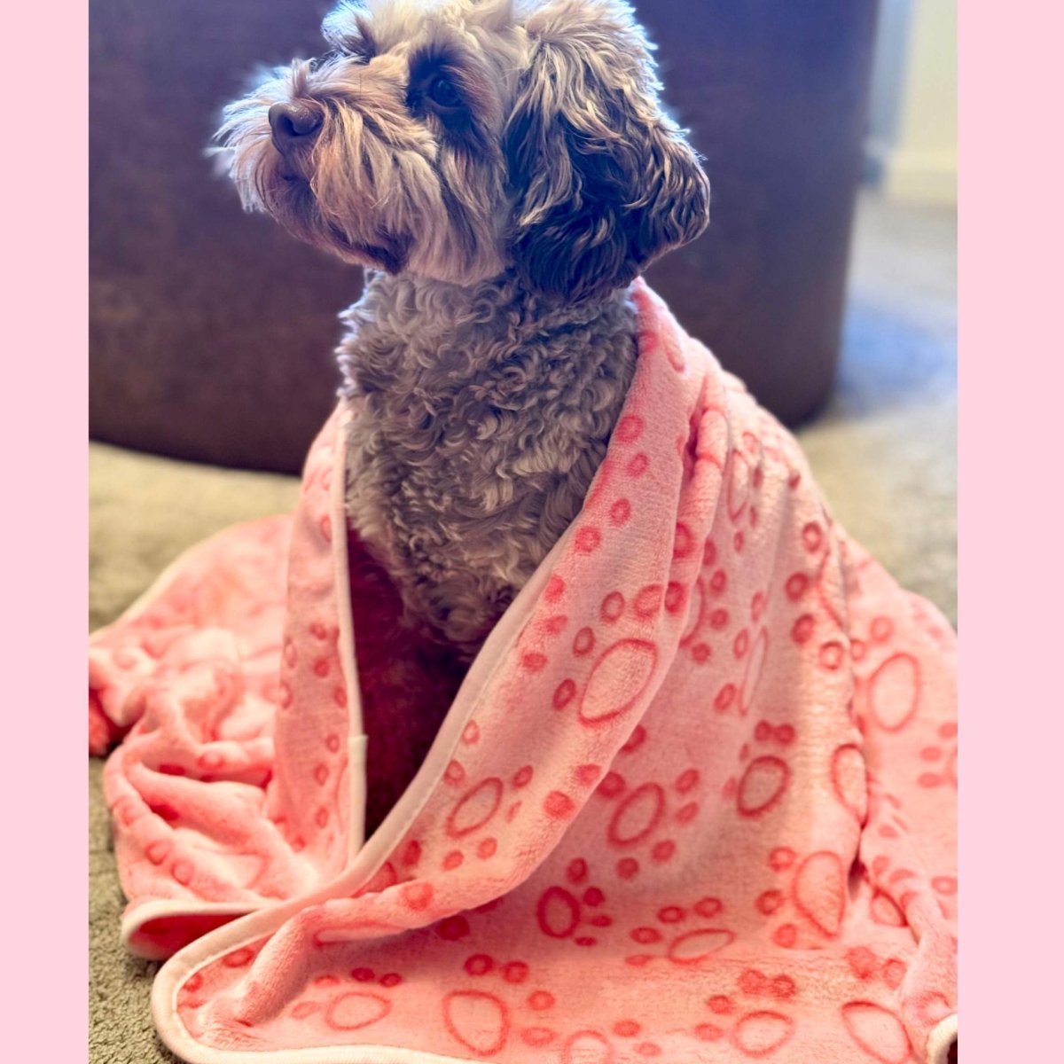 Dog Blanket - Pink Paws - mezetto PupClub Couture PupClub Couture