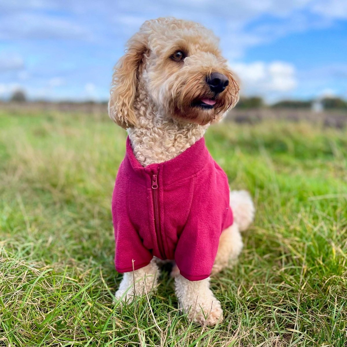 Dog Fleece Coat - Berry Red - mezetto PupClub Couture PupClub Couture