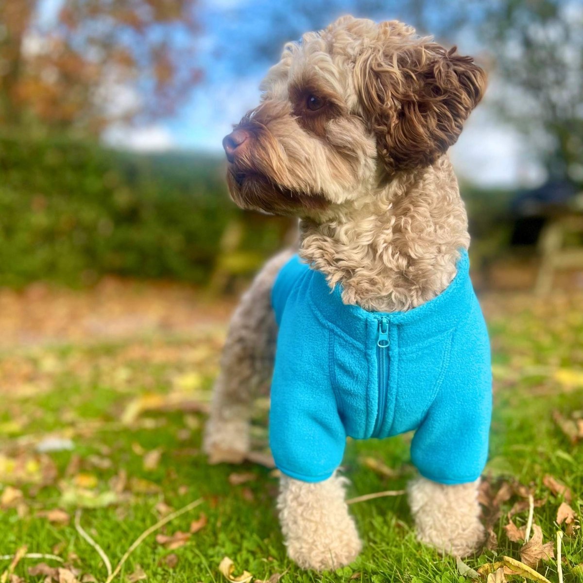 Dog Fleece Coat - Blue - mezetto PupClub Couture PupClub Couture