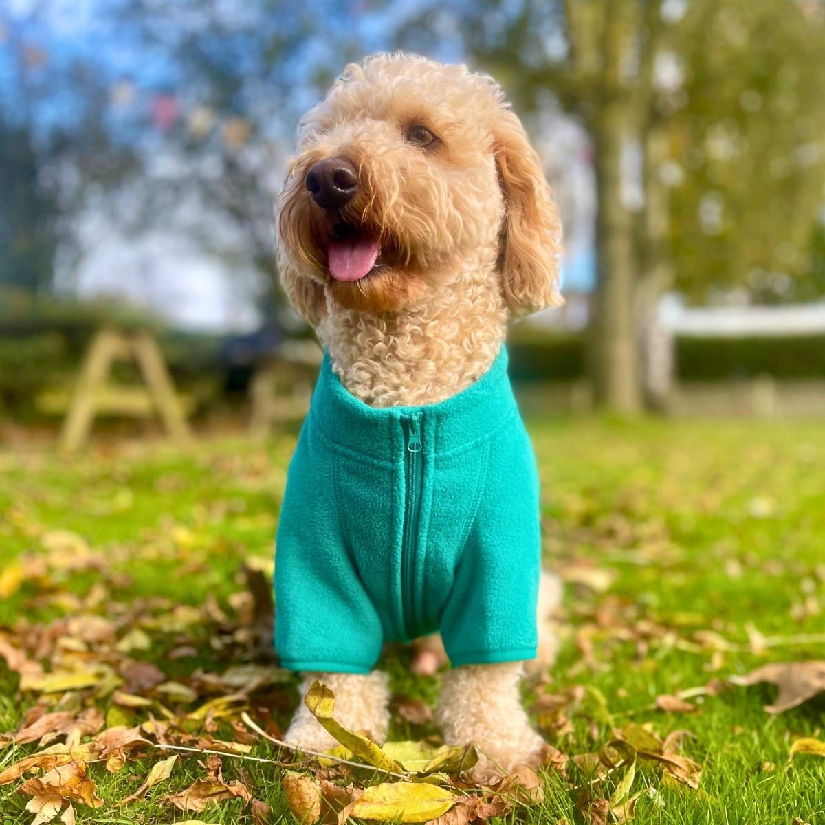 Dog Fleece Coat - Green - mezetto PupClub Couture PupClub Couture