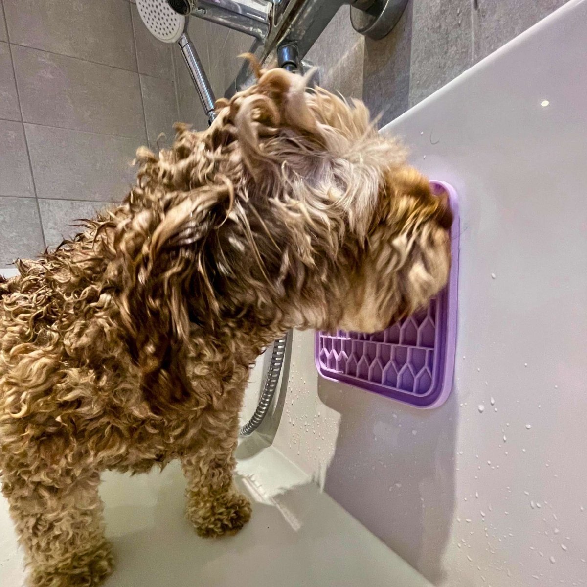 Dog Lick Mat - Lilac - mezetto PupClub Couture PupClub Couture