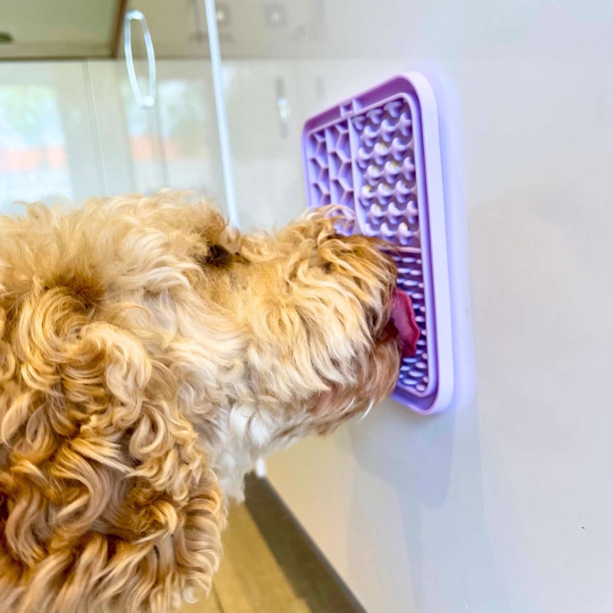 Dog Lick Mat - Lilac - mezetto PupClub Couture PupClub Couture