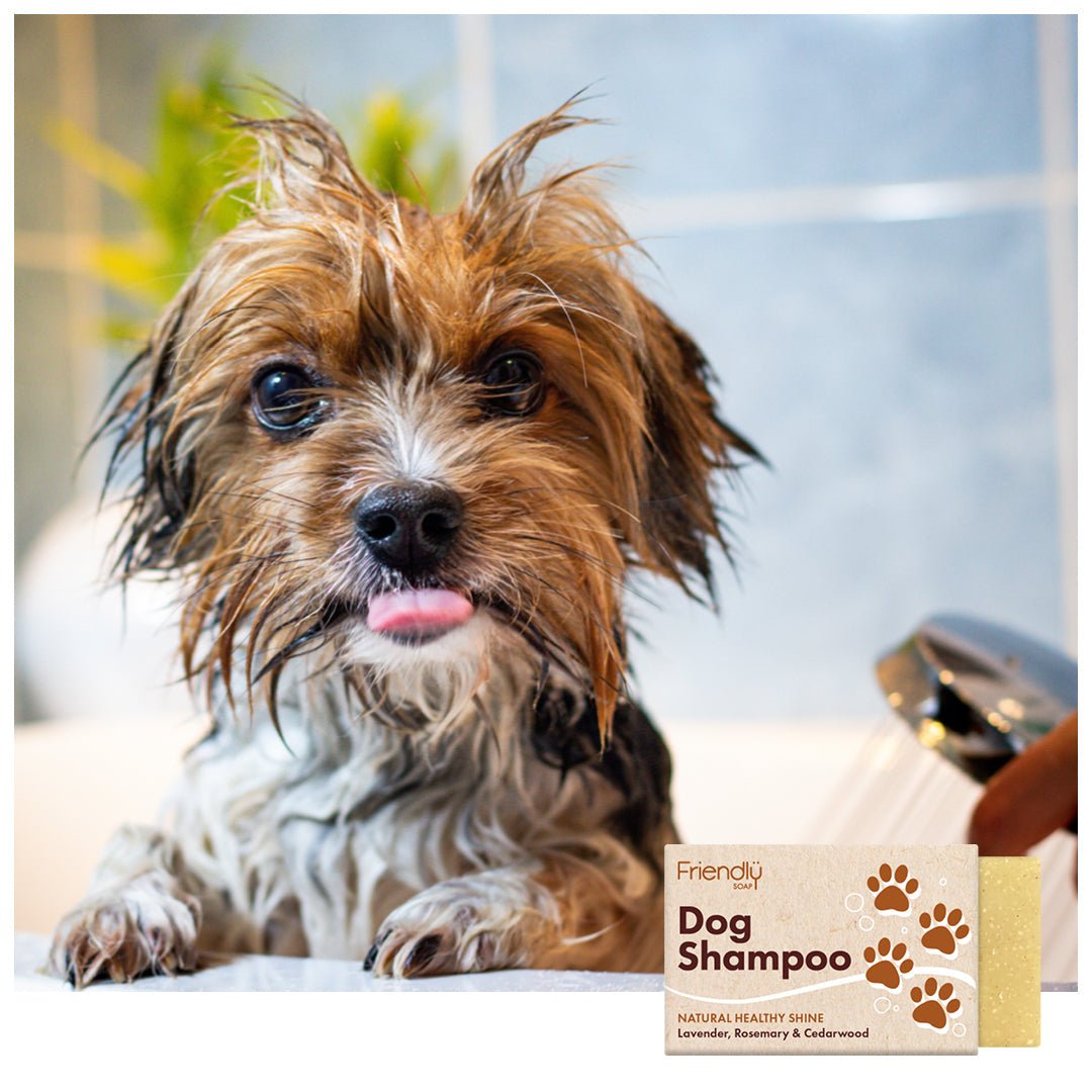 Dog Shampoo - mezetto Friendly Soap Friendly Soap