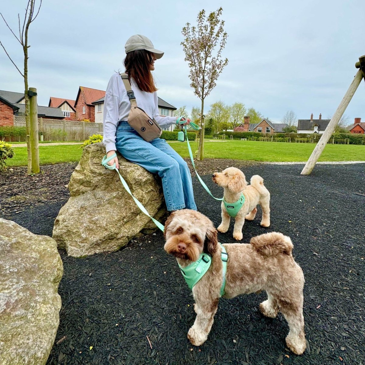 Dog Walking Bum Bag - Tan - mezetto PupClub Couture PupClub Couture