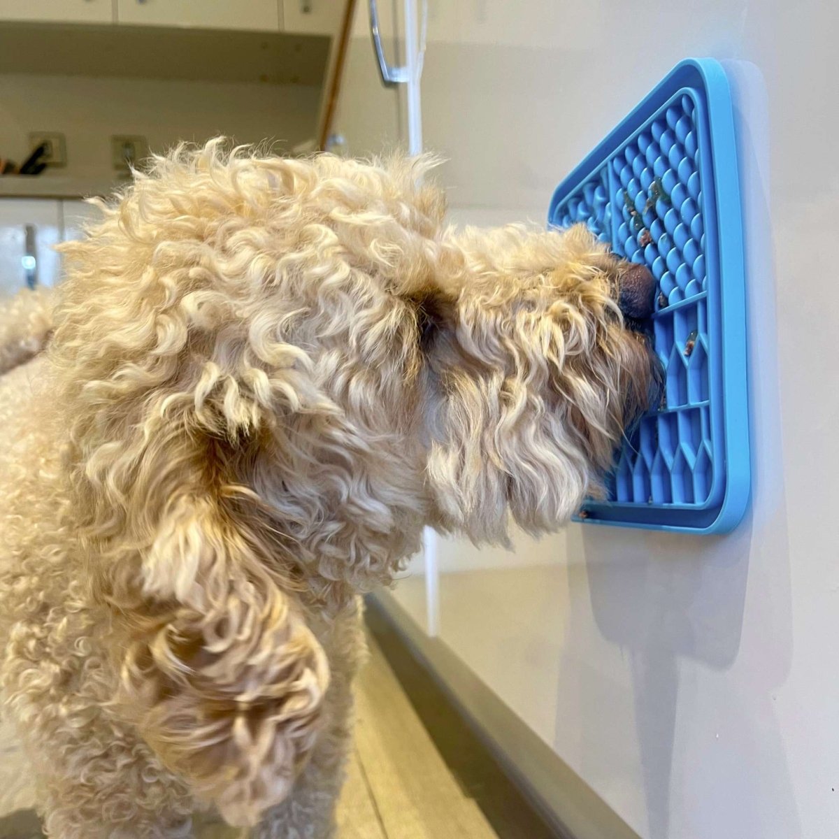 Dog Lick Mat - Blue