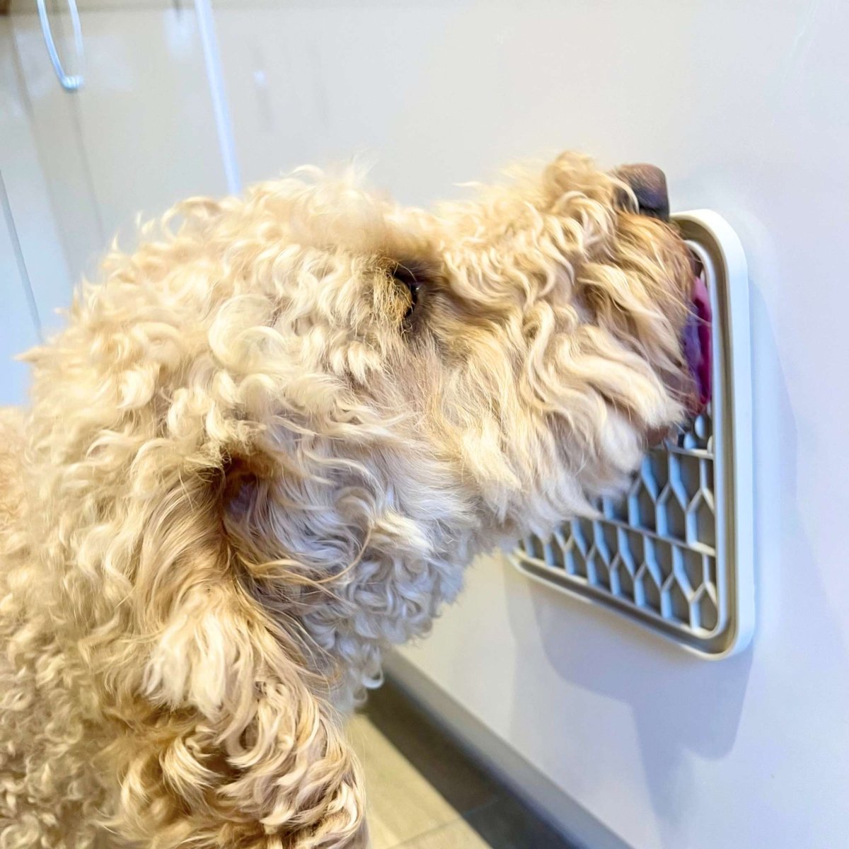 Dog Lick Mat - Cream