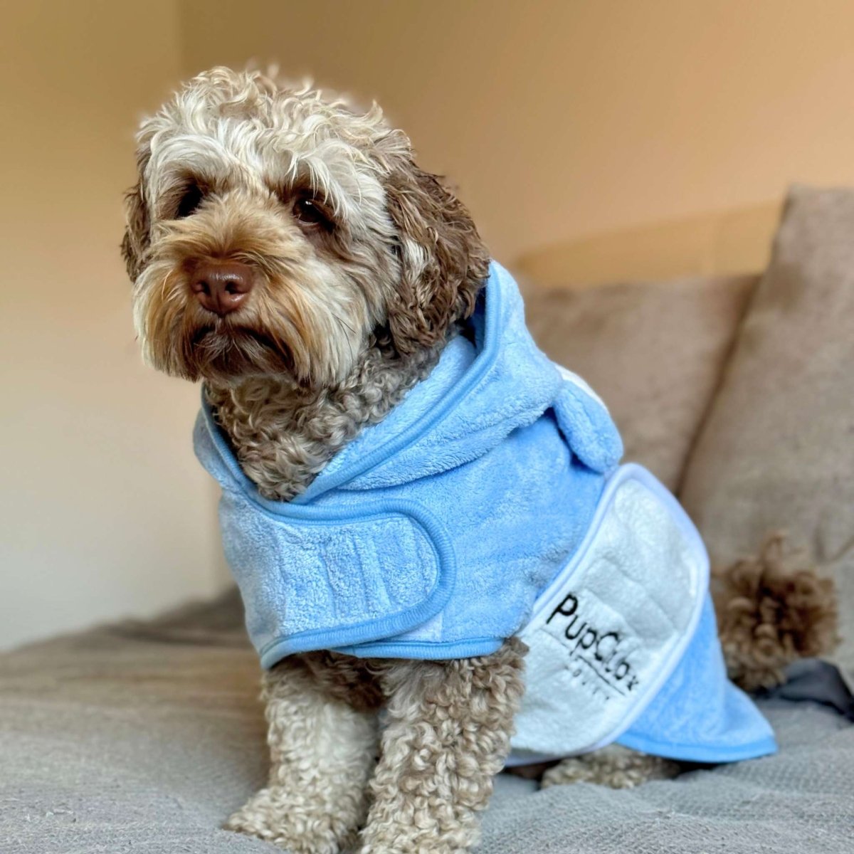 Drying Robe - Blue - mezetto PupClub Couture PupClub Couture