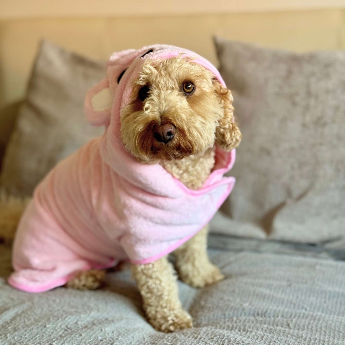 Drying Robe - Pink - mezetto PupClub Couture PupClub Couture