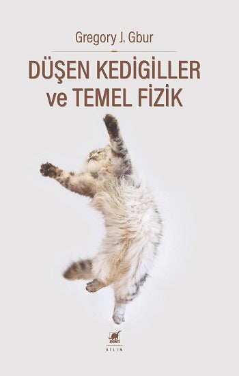 Düşen Kedigiller ve Temel Fizik
