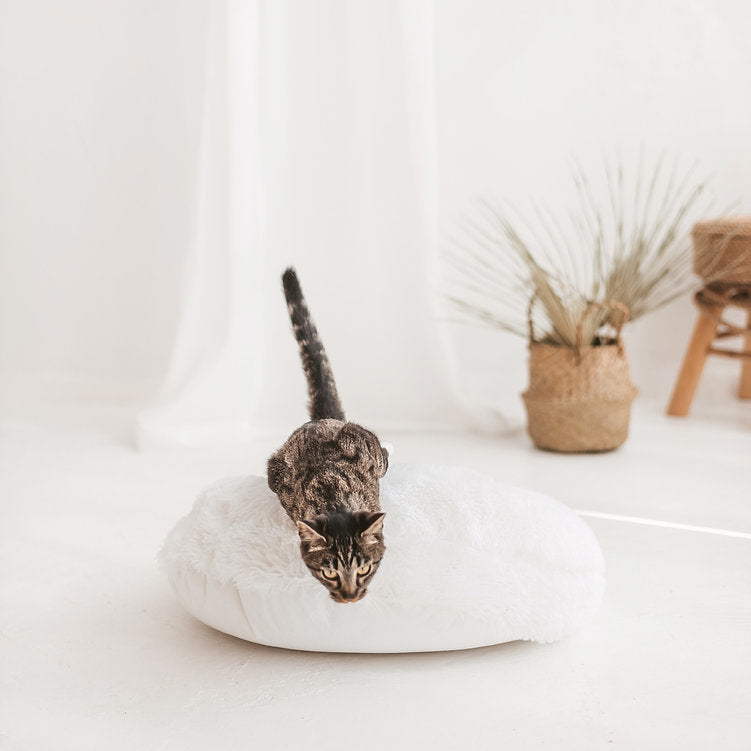 Beyaz Kürklü Yumuşak Kedi Yastığı - Rahat Evcil Hayvan Yatağı