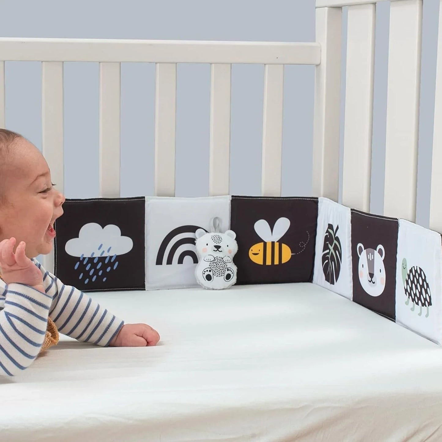 Taf Toys Savannah Black & White Book