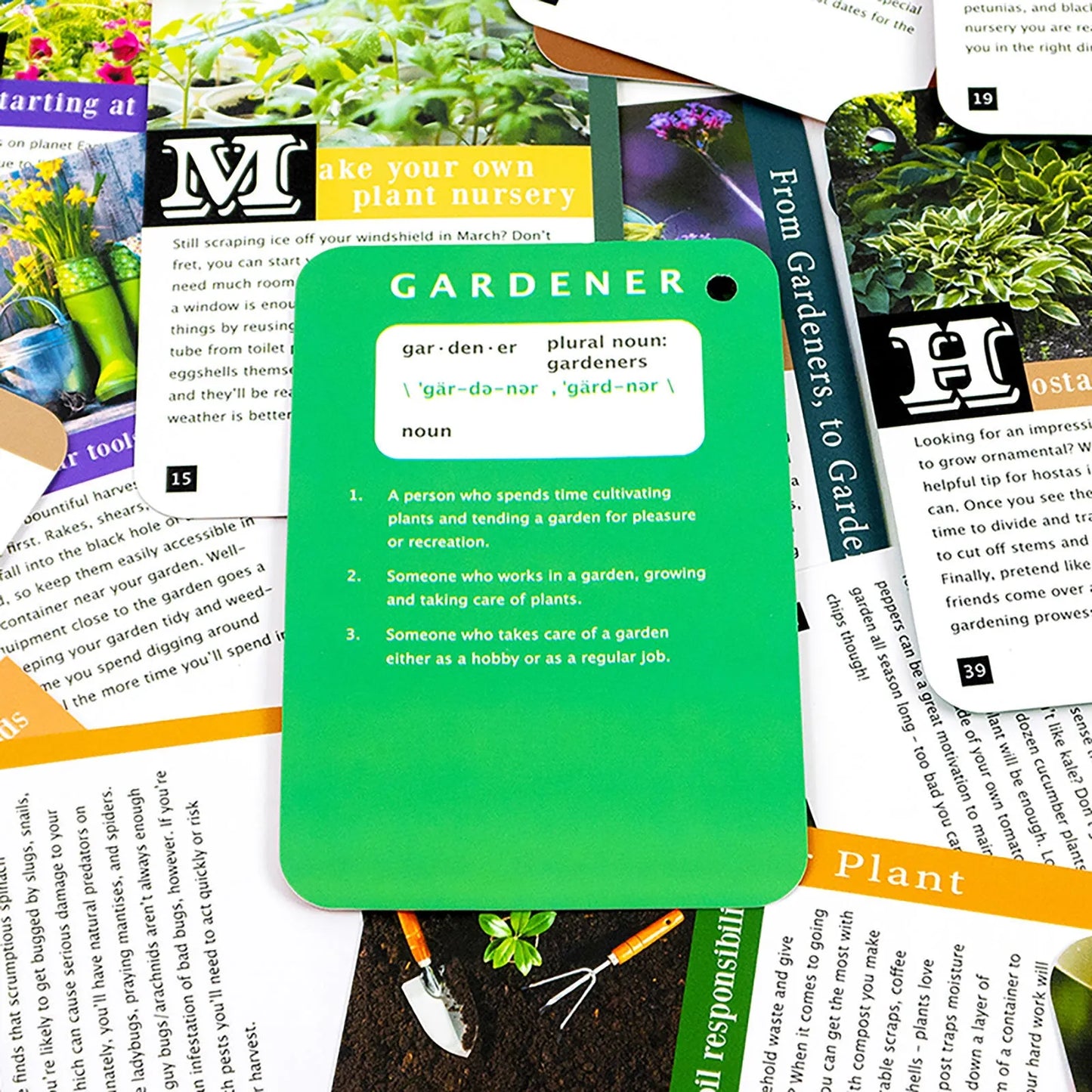 Recent Toys How to become a Gardener