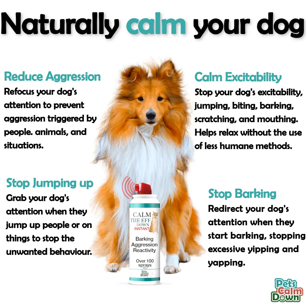 Dog training spray for barking, jumping, aggression, whining