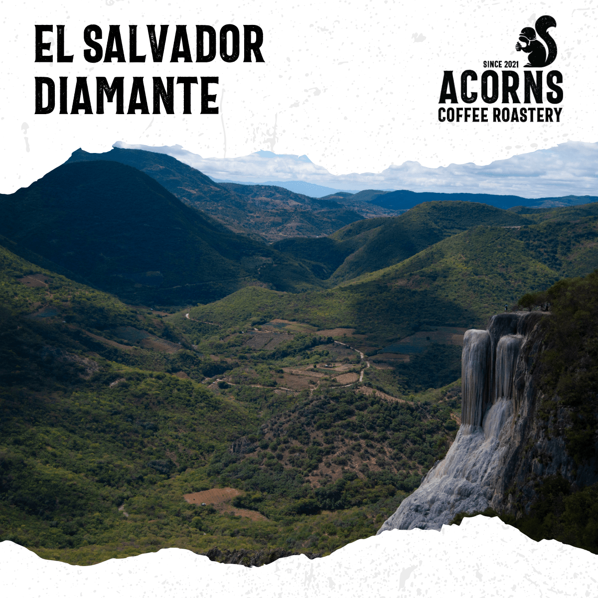 El Salvador Diamante Medium Roast - mezetto Acorns Coffee & Cake Acorns Coffee & Cake