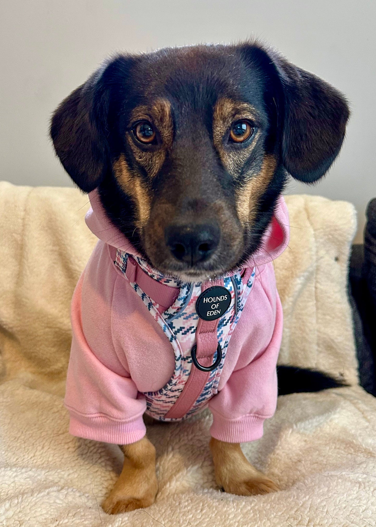 Dog Hoodie - Light Pink