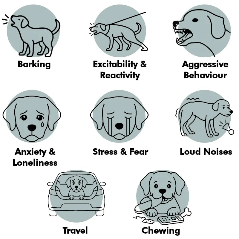 Calming dog treats for barking, stress, anxiety (natural herbal)