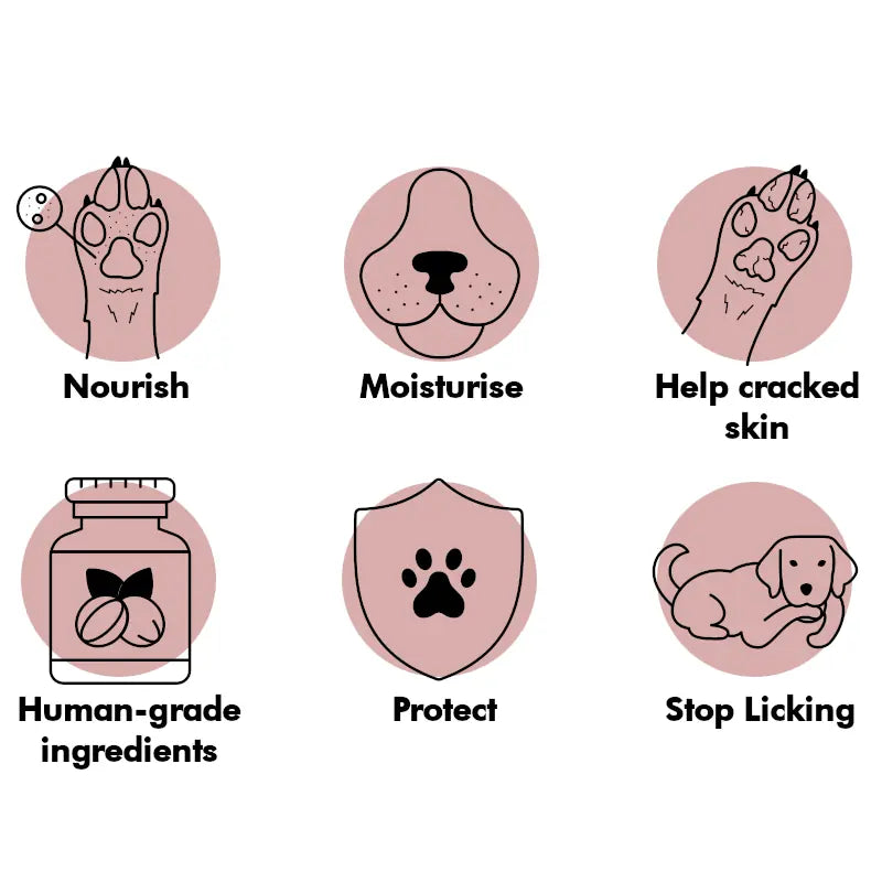 Paw & Nose Balm Stick for Dogs - 100% Natural Moisturiser for Paws | Like a Chap Stick for dogs