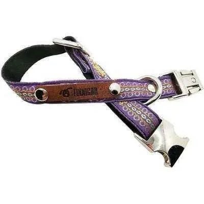 Finnigan's Charming Designer Dog Collar Set - mezetto