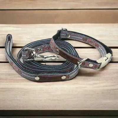 Finnigan's Designer Delight Dog Collar Set - mezetto