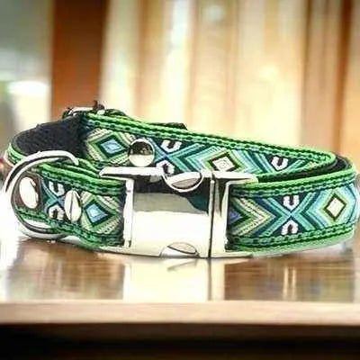 Finnigan's Enchanted Pup Elegance Collar Set - mezetto