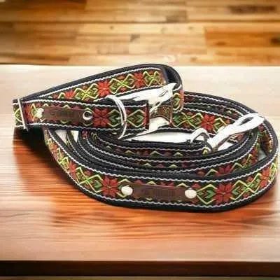 Finnigan's Fabulous Fabric Dog Collar Set - mezetto