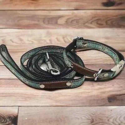 Finnigan's Pampered Pup Collar Set with Custom Engraving - mezetto