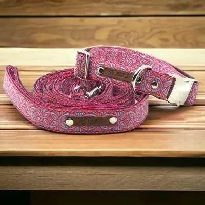 Finnigan's Regal Designer Dog Collar Set - mezetto