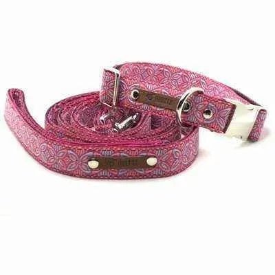 Finnigan's Regal Designer Dog Collar Set - mezetto