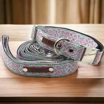 Finnigan's Signature Dog Collar Set - mezetto