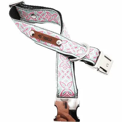 Finnigan's Signature Dog Collar Set - mezetto