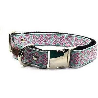 Finnigan's Signature Dog Collar Set - mezetto