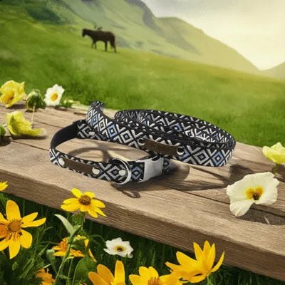 Finnigan's Wanderlust Whisker-Wearer Dog Collar 🐾-3