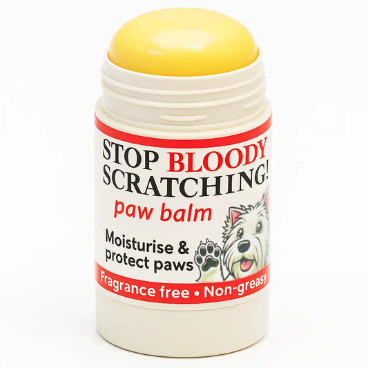 Paw & Nose Balm Stick for Dogs - 100% Natural Moisturiser for Paws | Like a Chap Stick for dogs