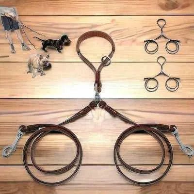 Golden Double Leather Pet Leads - Set of 2-0