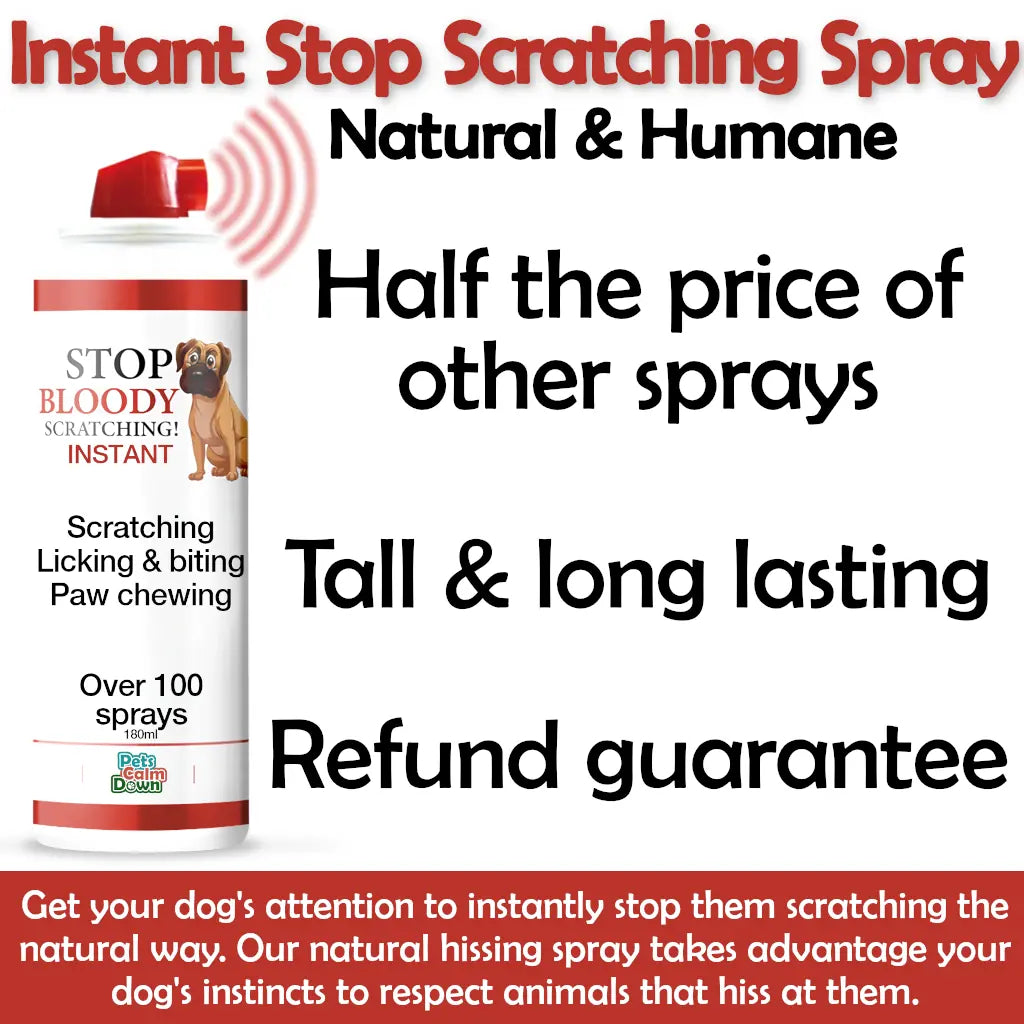 Dog training spray for scratching, rubbing, licking, biting, and chewing