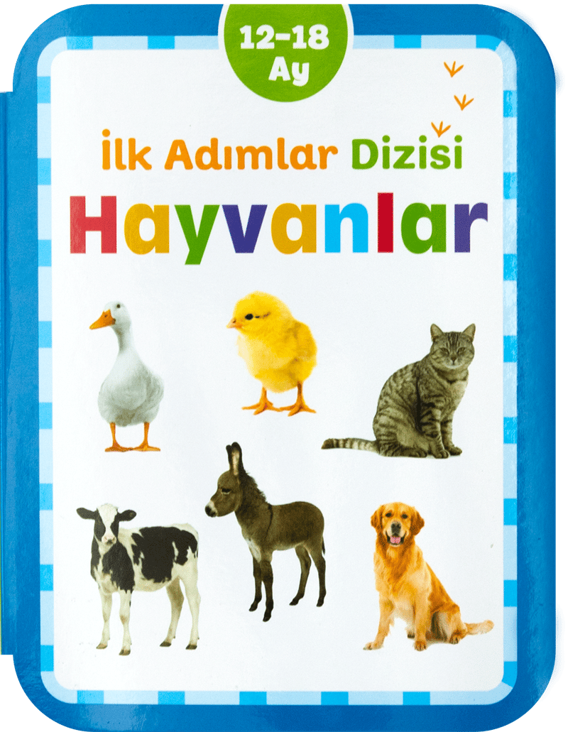 Hayvanlar (12-18 Ay) İlk Adımlar