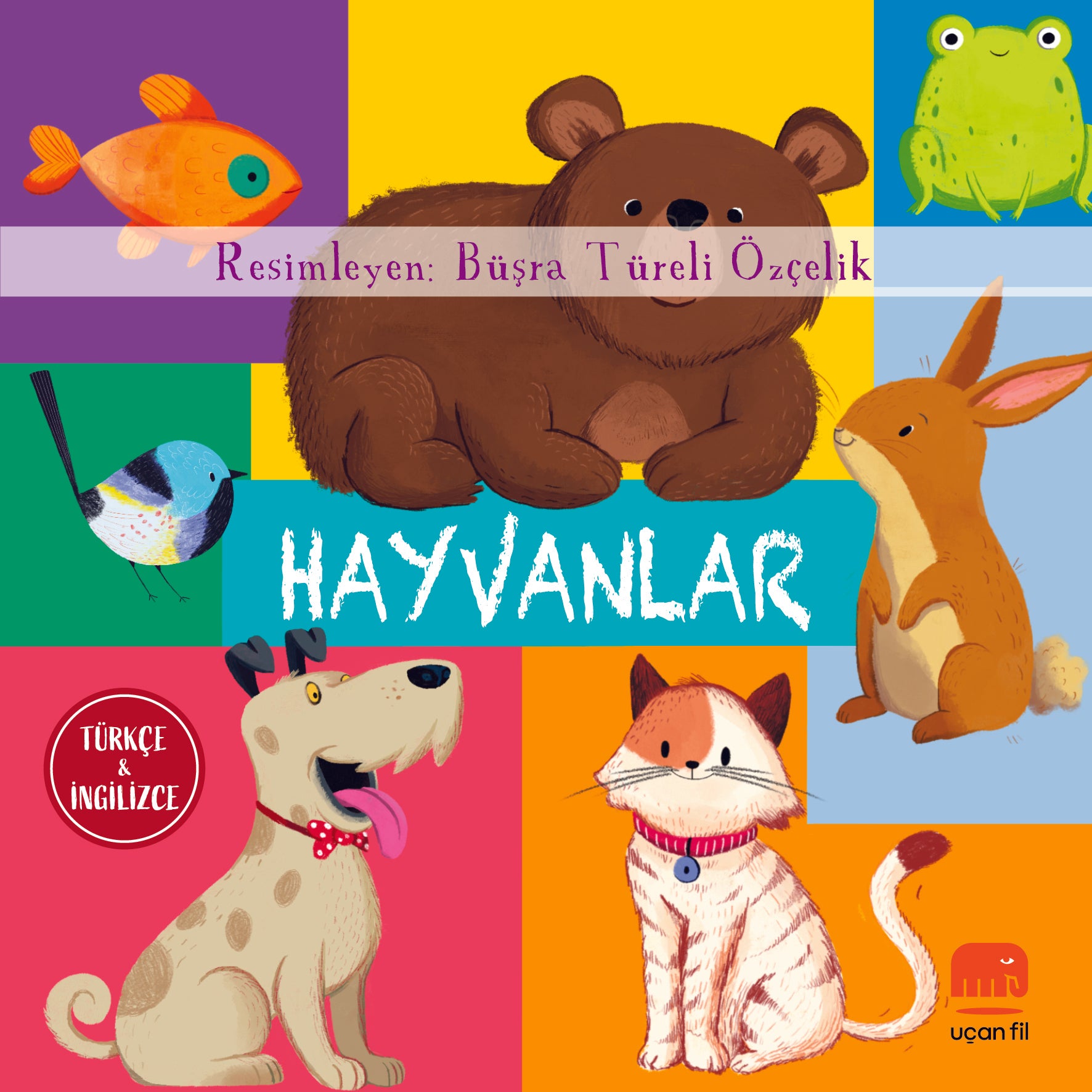 Hayvanlar (Board Book)