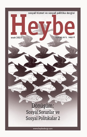 Heybe Sosyal Hizmet, Sosyal Politika Dergisi Sayı: 4