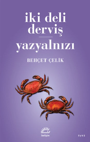 İki Deli Derviş - Yazyalınızı