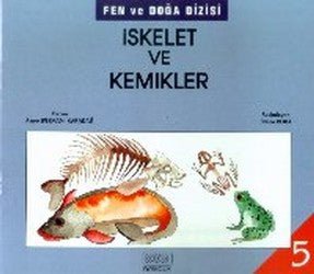 İskelet ve Kemikler - mezetto