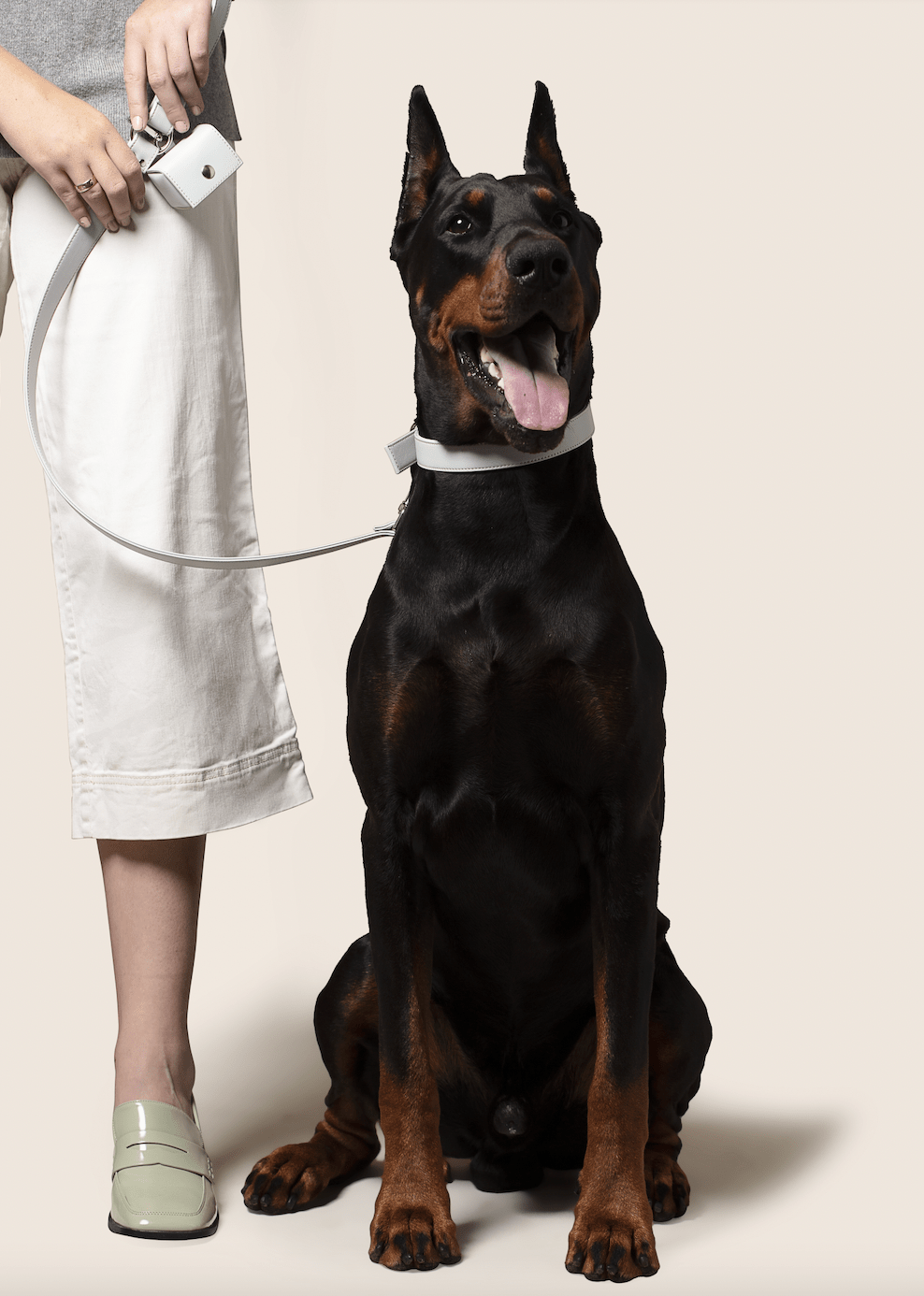 Apple leather poo bag holder - mezetto