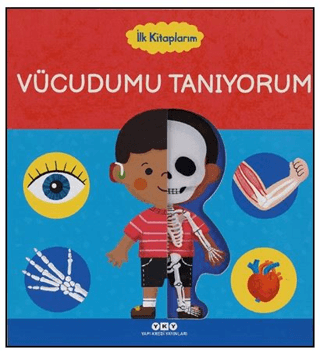 İlk Kitaplarım – Vücudumu Tanıyorum (Ciltli) - Yapı Kredi Yayınları Kitap