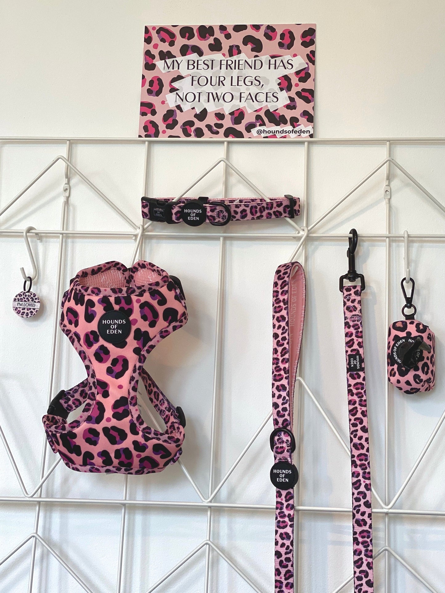 'Blushing Leopard' - Pink Dog Collar