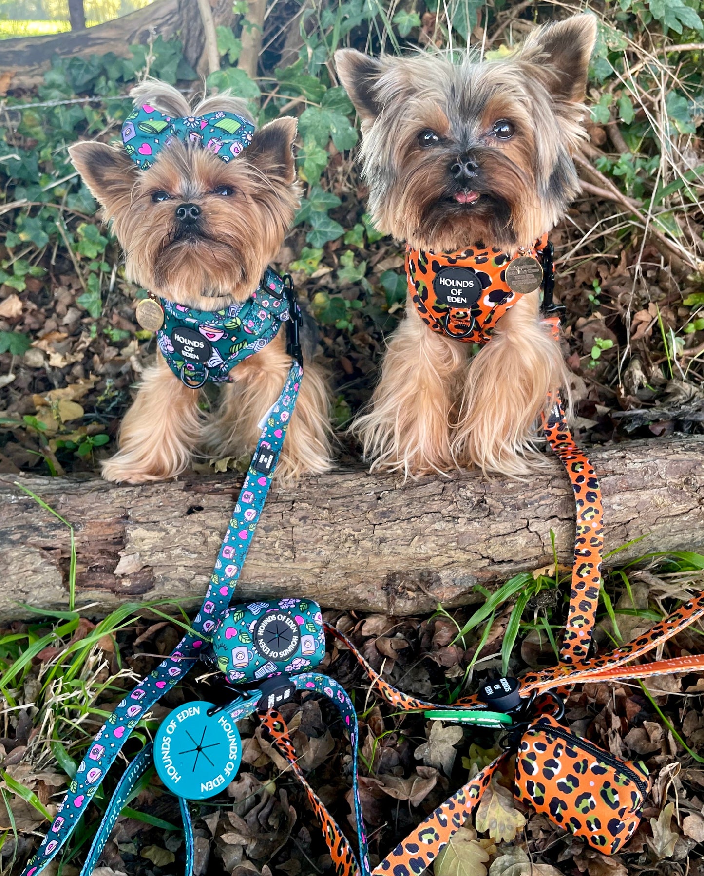 Orange Leopard Design Dog Bow Tie