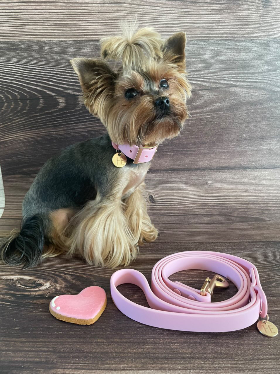 Candy floss Pink 'All Weather' Dog Collar