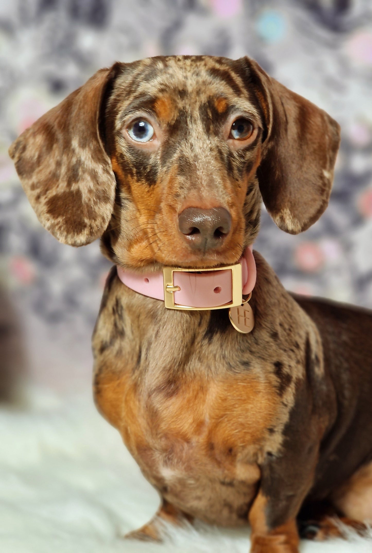 Candy floss Pink 'All Weather' Dog Collar
